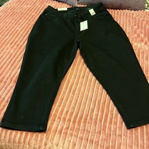 Judy blue capris BNWT